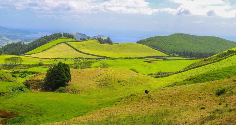 Shopping dans les îles des Açores : road trip entre les volcans verdoyants - journaway 2