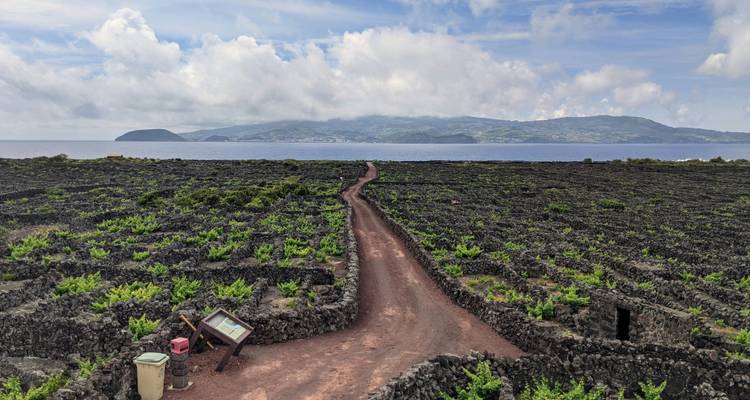 Shopping dans les îles des Açores : road trip entre les volcans verdoyants - journaway 3
