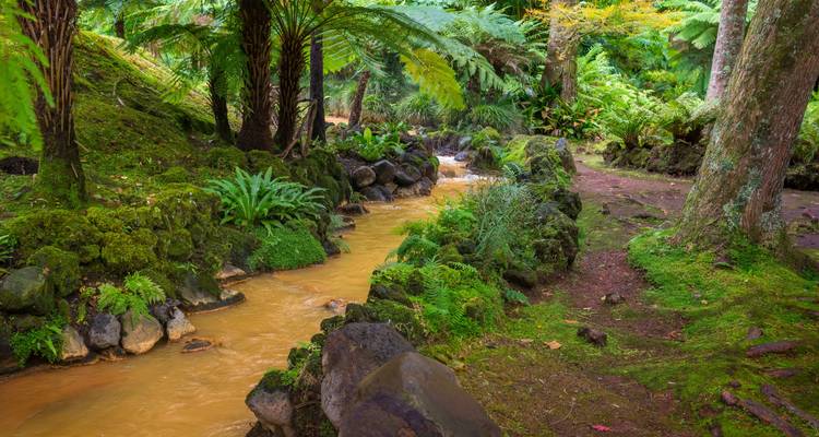 Shopping dans les îles des Açores : road trip entre les volcans verdoyants - journaway 6