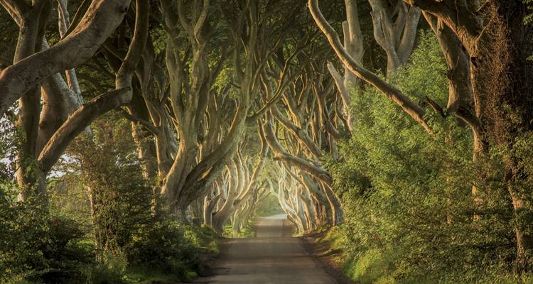 Roadtrip en Irlande du Nord : entre falaises et nature sauvage - journaway 3