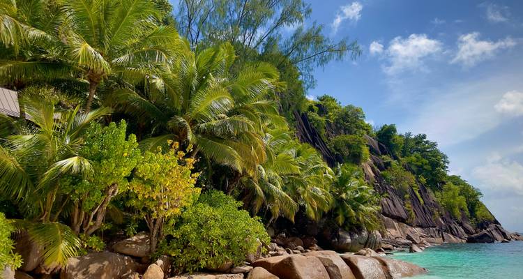 Shopping dans les îles des Seychelles : l'aventure entre les plages de rêve - journaway 1