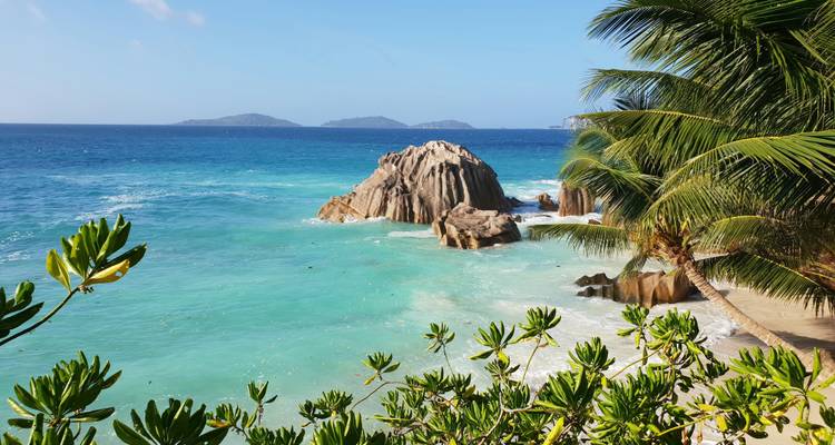 Shopping dans les îles des Seychelles : l'aventure entre les plages de rêve - journaway 4