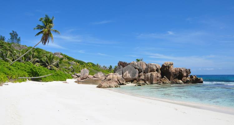 Shopping dans les îles des Seychelles : l'aventure entre les plages de rêve - journaway 6