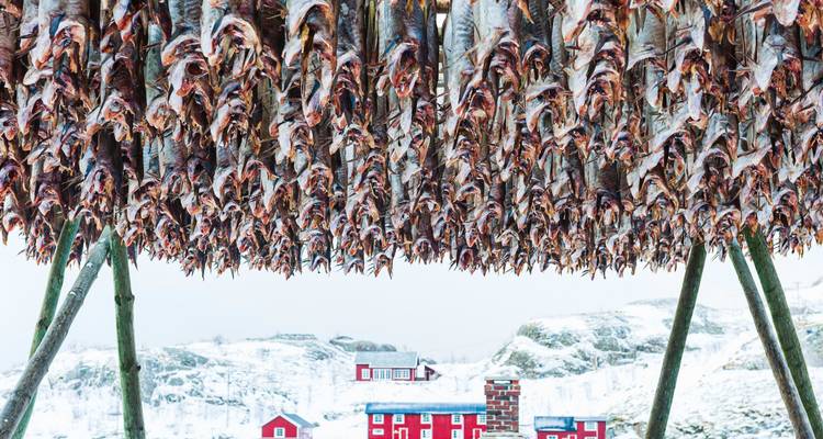 Aventure hivernale dans les Lofoten : La magie des aurores boréales et les maisons sur pilotis - journaway 3