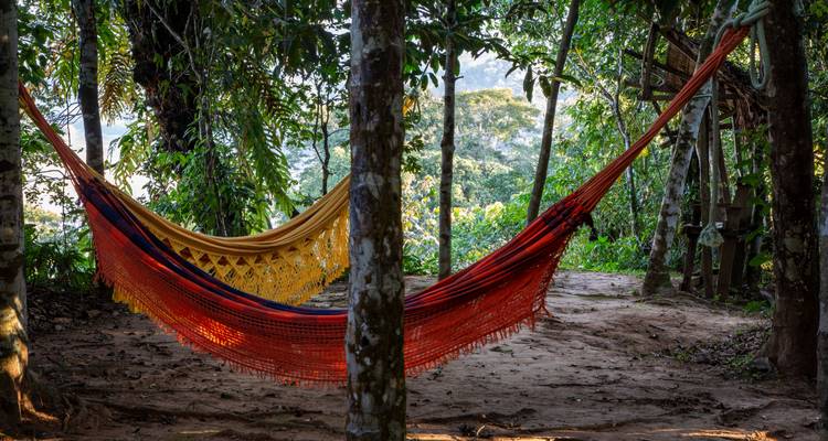 Aventure au Brésil : dans les profondeurs verdoyantes de l'Amazonie - journaway 4