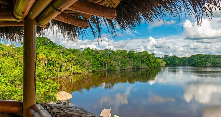 Aventure au Brésil : dans les profondeurs verdoyantes de l'Amazonie - journaway 6