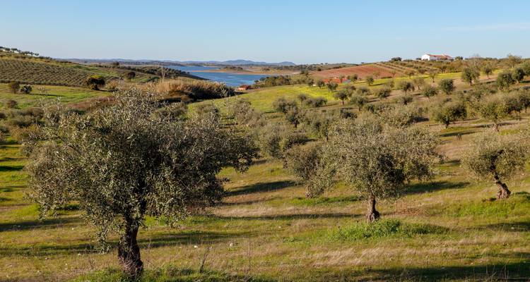 Adventure in Portugal: Road Trip from the Outback to the Atlantic Ocean - journaway 8