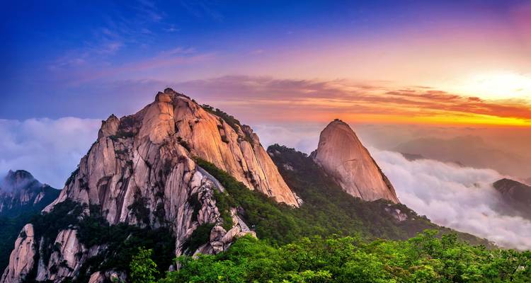 Best of South Korea: Skylines, Temples & Island Adventures - journaway 10