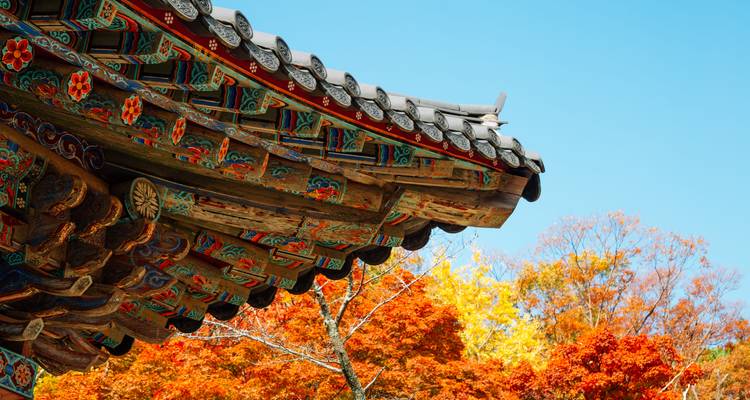 Toit de temple complexe avec feuillage d'automne vibrant.