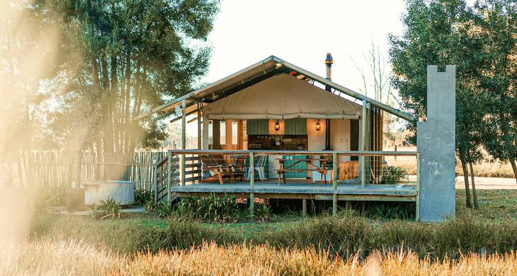 Aventura sudafricana: Viaje por carretera en Glamping a la Ruta Jardín - journaway 9