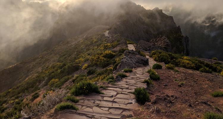 São Miguel & Madeira: Island Hopping in the Atlantic Ocean - journaway 8