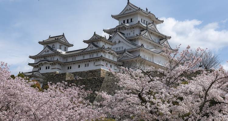 Intensivo de Japón: De ciudad en ciudad en el Shinkansen - journaway 3