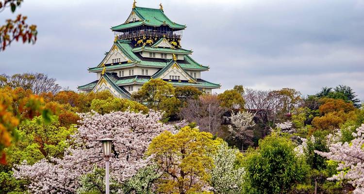 Intensivo de Japón: De ciudad en ciudad en el Shinkansen - journaway 4