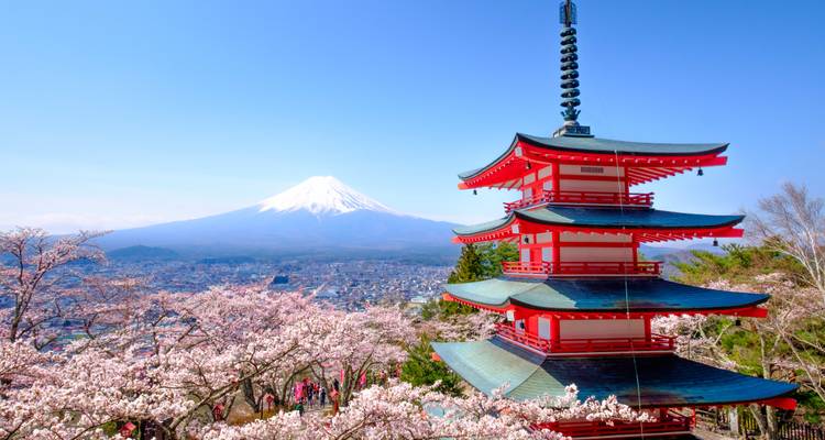 Explore Japan: Tokyo Towers, Torii Gates & Samurais - journaway DACH 6