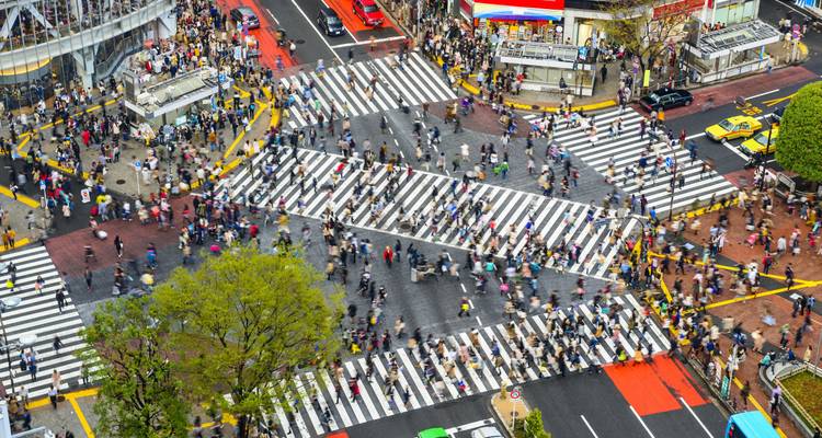 Explore Japan: Tokyo Towers, Torii Gates & Samurais - journaway DACH 8