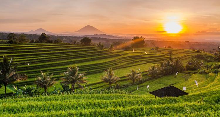 Dubai y Bali: Del horizonte a la excursión al amanecer - journaway 9