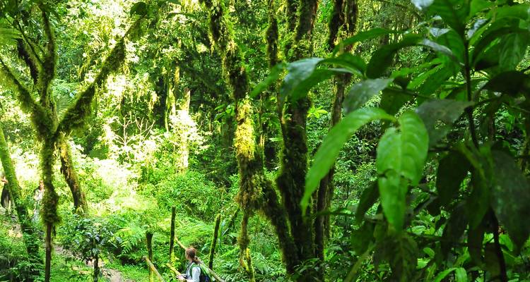 10 jours de safari gorille et faune en Ouganda - Oree Safaris 2