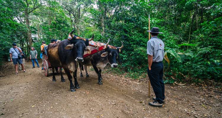 Viaje por carretera a Costa Rica: Noches de selva y vibraciones caribeñas - journaway 6