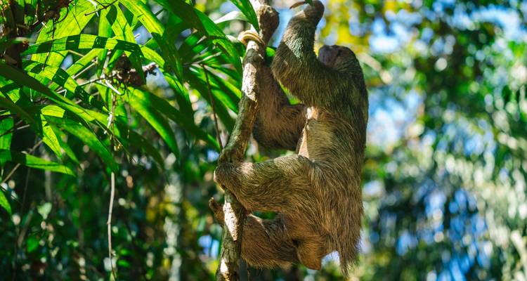 Viaje por carretera a Costa Rica: Noches de selva y vibraciones caribeñas - journaway 8