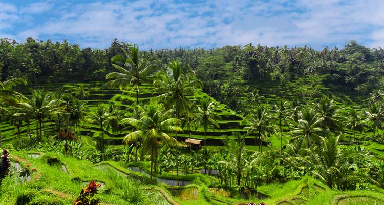 Malaisie, Singapour & Bali : des City Lights au Sunrise Hike (18 destinations) - journaway 7