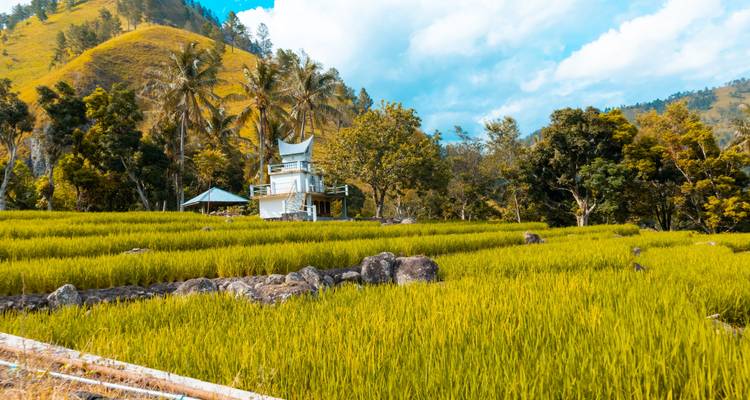 Les contrastes de l'Asie : la jungle de Sumatra & les skylines étincelantes ! - journaway 7