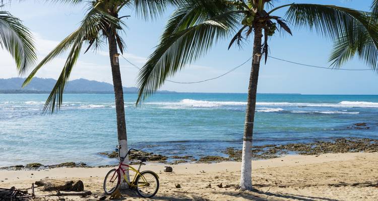 Liste de choses à faire au Costa Rica : Jungle Nights & Pura Vida ! - journaway 10