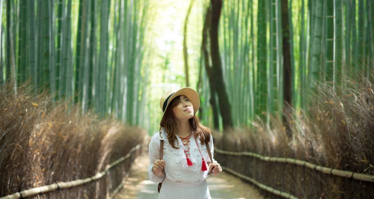 Japan Intense : des néons au chant des moines - journaway 8
