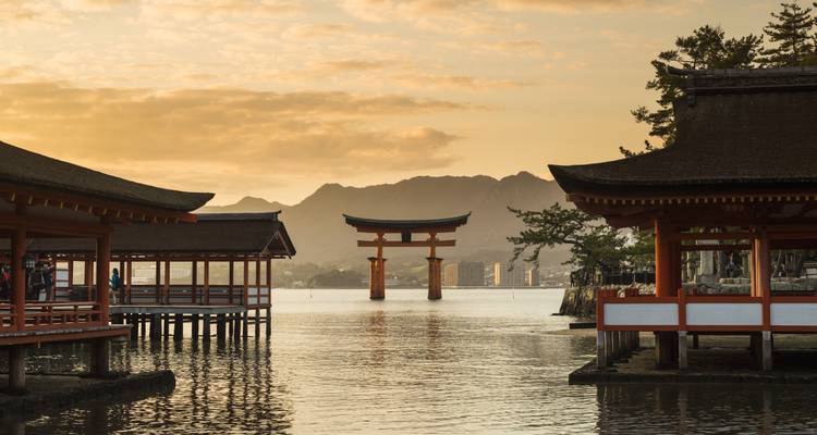 Japón Intenso: De la luz de neón al canto de los monjes - journaway DACH 5