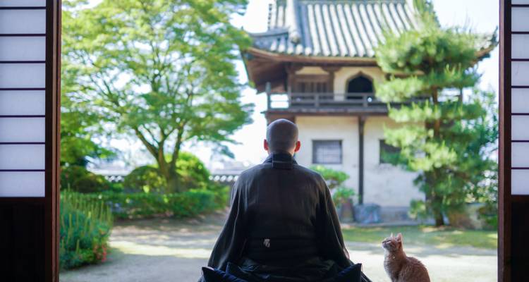 Japón Intenso: De la luz de neón al canto de los monjes - journaway DACH 7