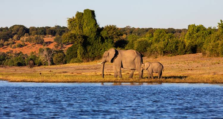 South Africa Road Trip: On the Garden Route to the Big Five - journaway 6