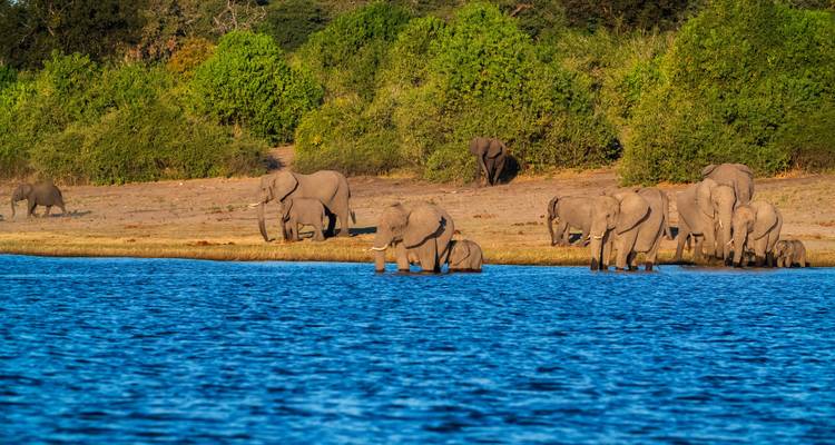 South Africa Road Trip: On the Garden Route to the Big Five - journaway 8