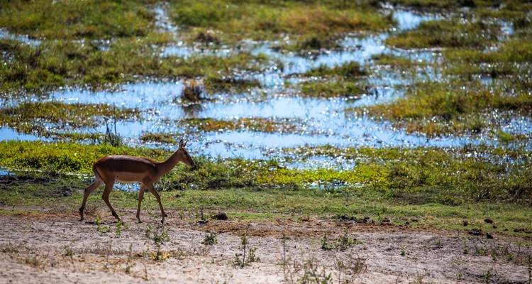 South Africa Road Trip: On the Garden Route to the Big Five - journaway 9