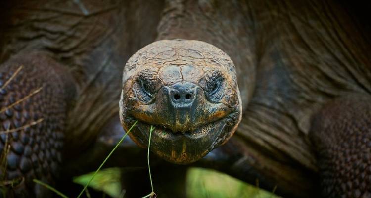 Galápagos de lujo 8 días - GUIDEcuador Travel 3