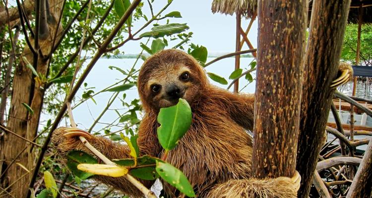 Costa Rica y Panamá: ¡De aventura en la selva a estancia en una isla! - journaway 10