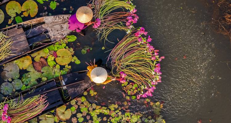 Zwei Menschen in Booten sammeln Blumen auf einem Fluss.