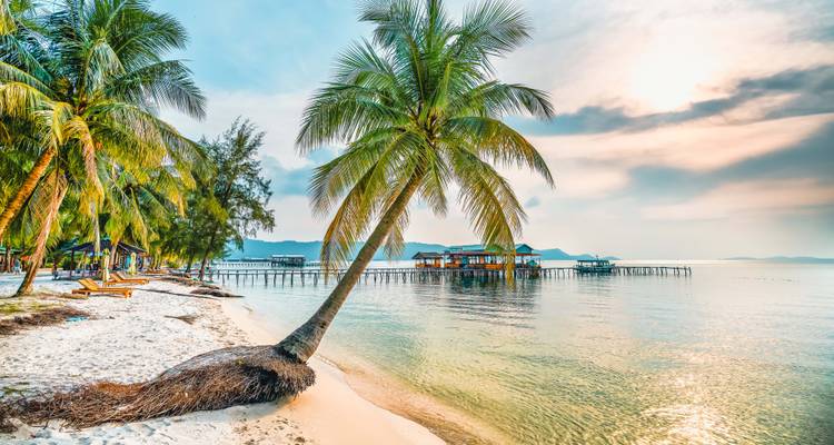 Tropischer Strand mit Palmen und Hütten über dem Wasser.