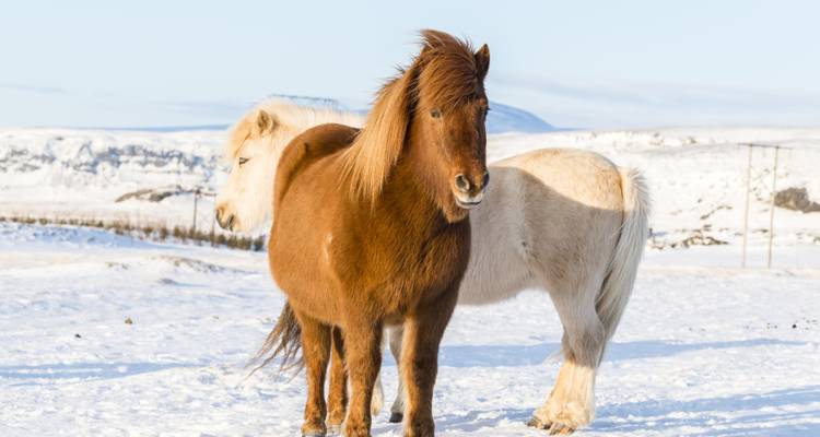 Iceland's South Coast: Winter Road Trip to Sky Lagoon - journaway DACH 10