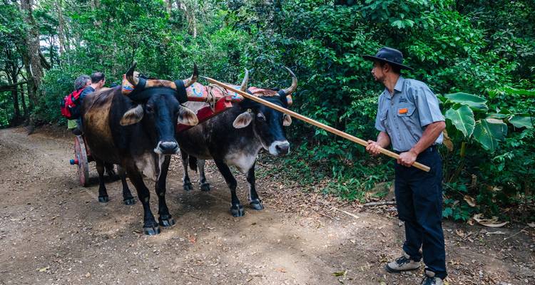 Costa Rica & Panama: Jungle Roads to Caribbean Coasts - journaway 4