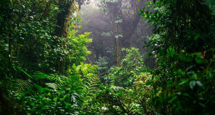 Costa Rica & Panama: Jungle Roads to Caribbean Coasts - journaway 6