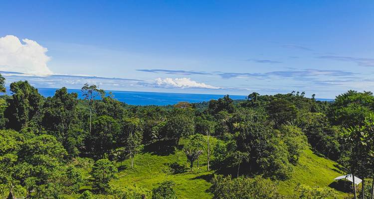 Costa Rica & Panama: Jungle Roads to Caribbean Coasts - journaway 9