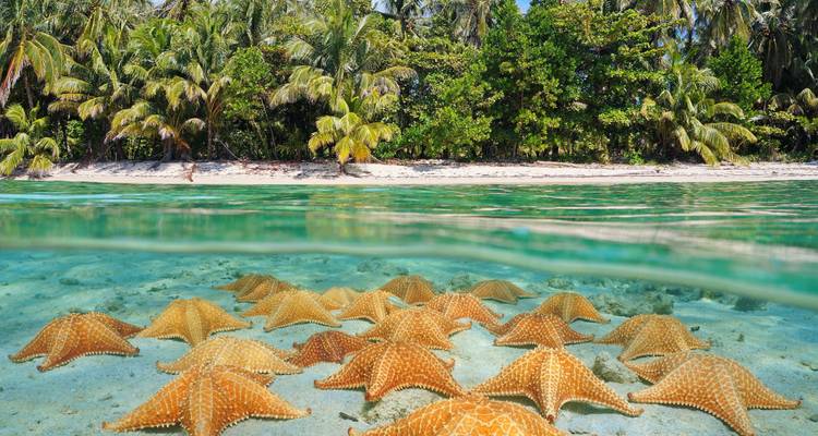 Costa Rica y Panamá: ¡Aventura por carretera al bosque nuboso! - journaway 8