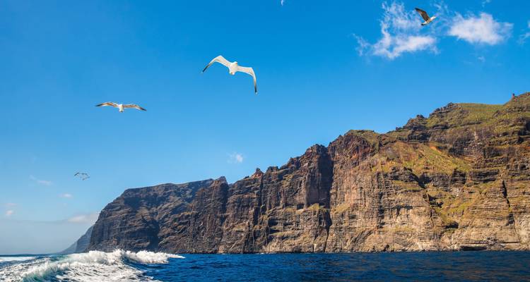Viaje por carretera a Tenerife: picos ardientes y Océano Atlántico salvaje - journaway 2