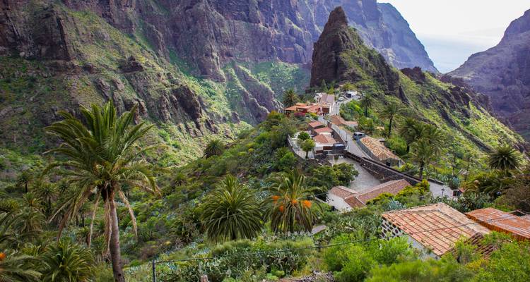 Viaje por carretera a Tenerife: picos ardientes y Océano Atlántico salvaje - journaway 7