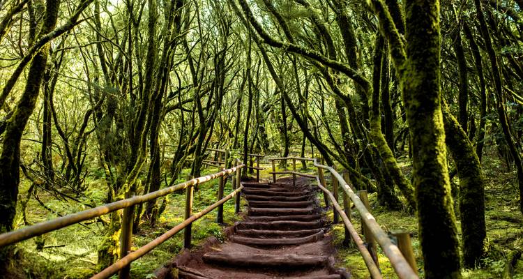 Tenerife & La Gomera : road trip sur des îles de feu sauvages - journaway 7