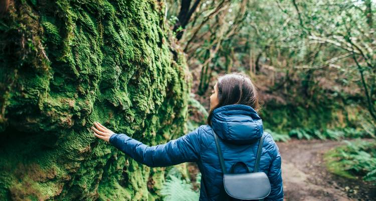 Tenerife & La Gomera : road trip sur des îles de feu sauvages - journaway 8