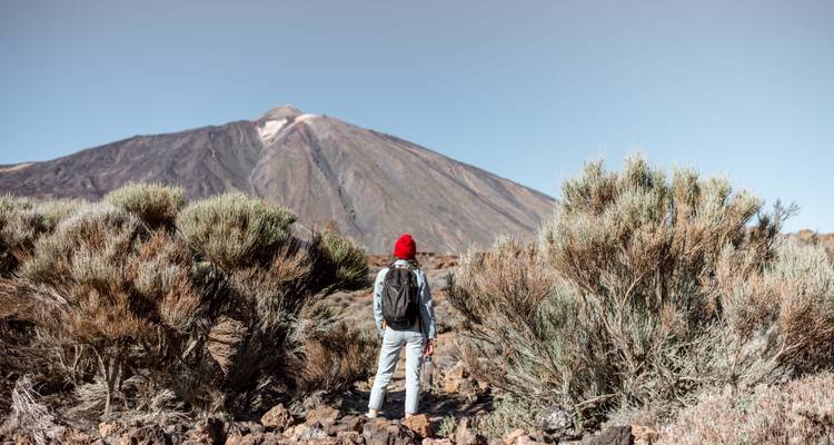 Tenerife & La Gomera : road trip sur des îles de feu sauvages - journaway 10