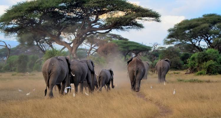 Roadtrip en Afrique du Sud : sur la Garden Route à la rencontre des Big Five - journaway 10
