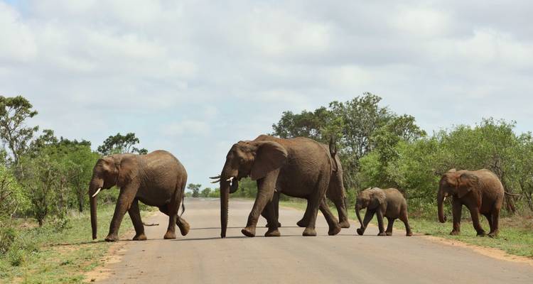 Viaje por carretera a Sudáfrica: aventuras entre Kruger, el Cabo y la costa (including Phalaborwa) - journaway 10