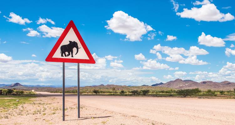Viaje por carretera a Namibia: Aventura en Safari y Albergues de Fauna Salvaje - journaway 8