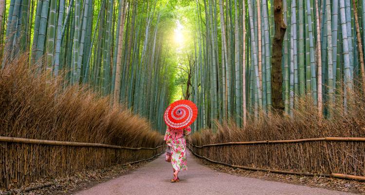 Japan & Hong Kong: Kung Fu Meets Kawaii Culture (from Hong Kong to Osaka) - journaway 2